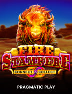 เล่นเกม poker online ฟรี: สูตรเด็ดทำเงิน